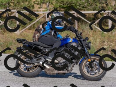 202509201620-DSC_3843_c4_