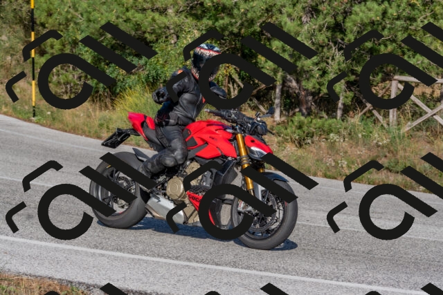 202509201621-DSC_3845_c4_