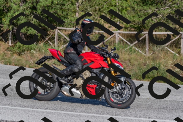 202509201621-DSC_3846_c4_