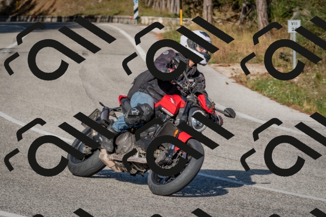 202509201621-DSC_3855_c4_