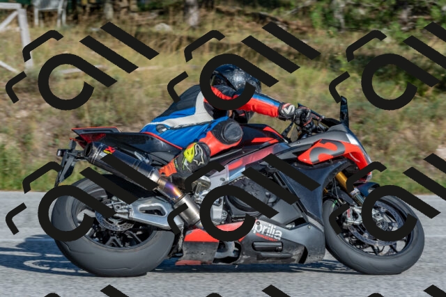 202509201622-DSC_3859_c4_