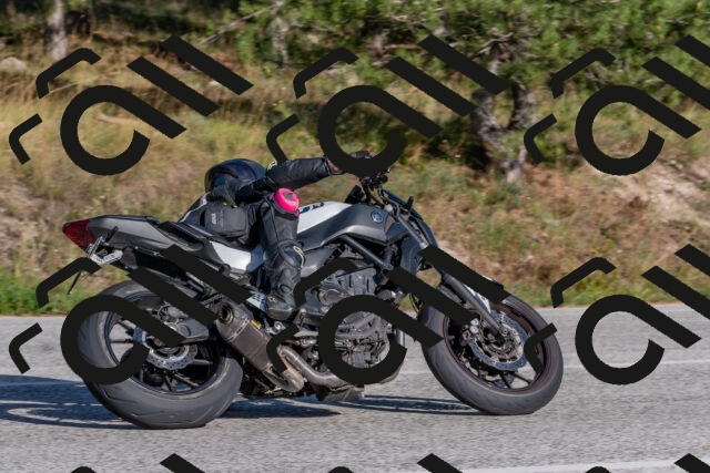 202509201622-DSC_3865_c4_