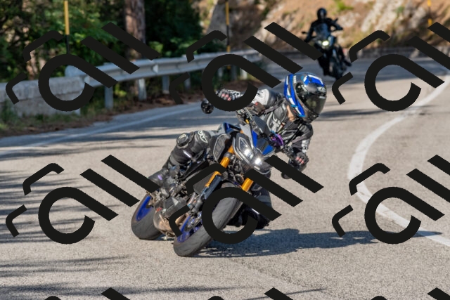 202509201622-DSC_3866_c4_