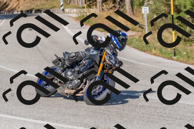 202509201622-DSC_3867_c4_