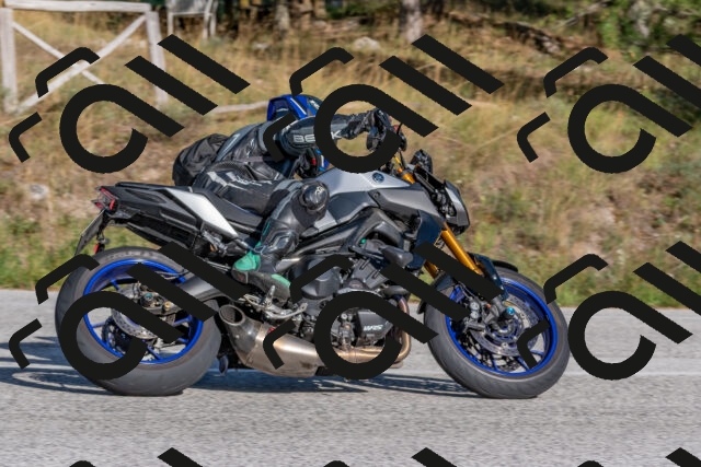 202509201622-DSC_3868_c4_