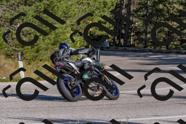 202509201622-DSC_3869_c4_