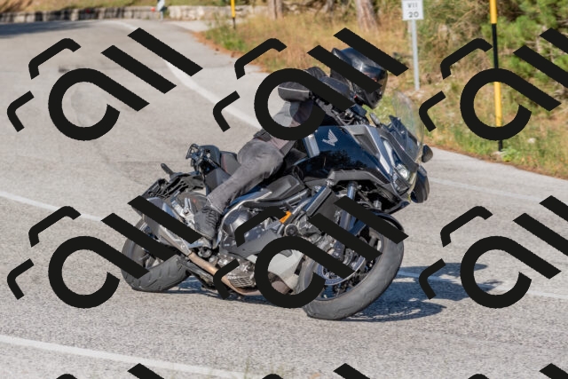 202509201622-DSC_3870_c4_