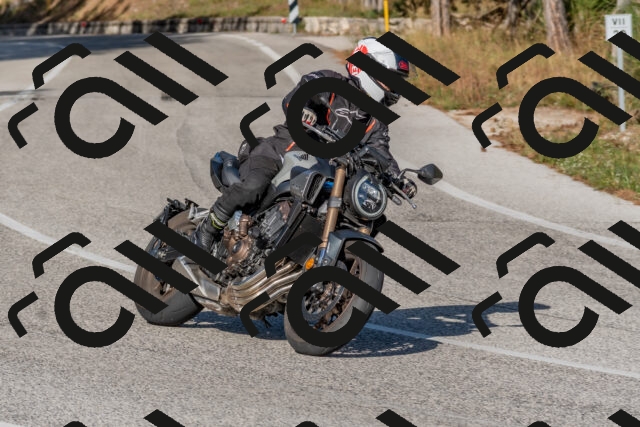 202509201622-DSC_3876_c4_