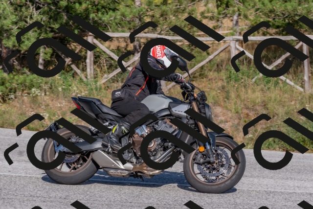 202509201622-DSC_3877_c4_