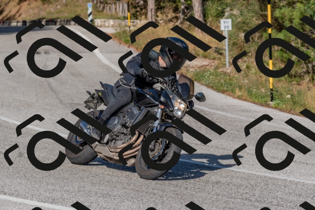 202509201622-DSC_3879_c4_