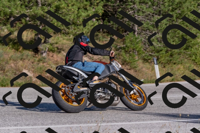 202509201625-DSC_3889_c4_