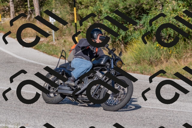 202509201625-DSC_3891_c4_