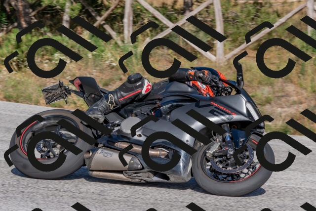 202509201626-DSC_3896_c4_