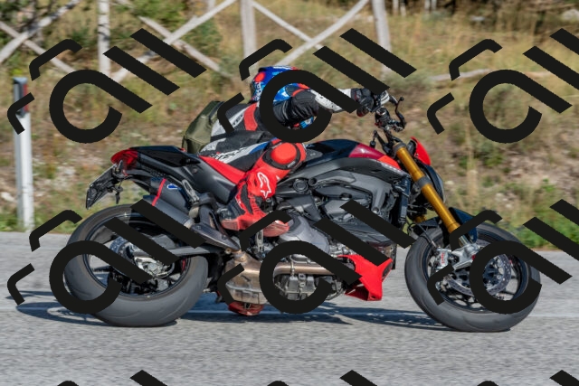 202509201626-DSC_3900_c4_