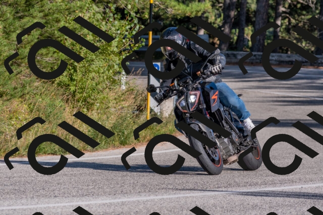 202509201627-DSC_3912_c4_