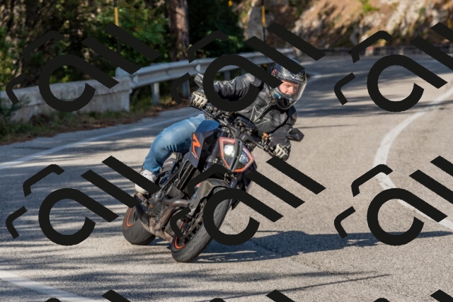 202509201629-DSC_3918_c4_