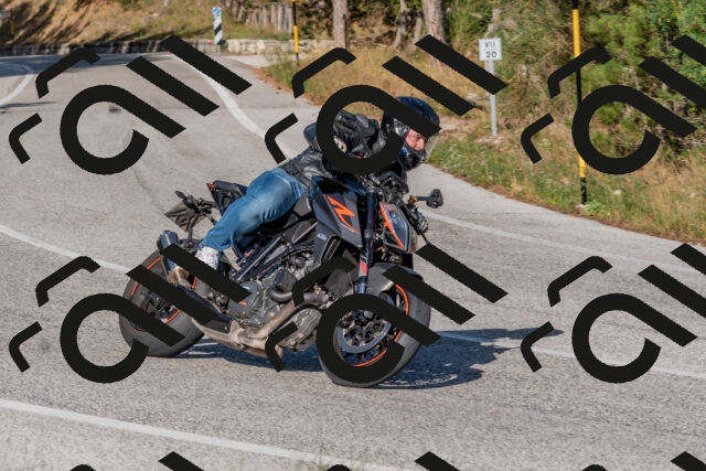 202509201629-DSC_3919_c4_