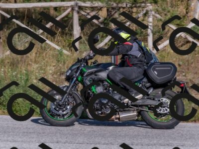 202509201644-DSC_4019_c4_