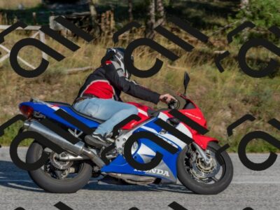 202509201650-DSC_4064_c4_