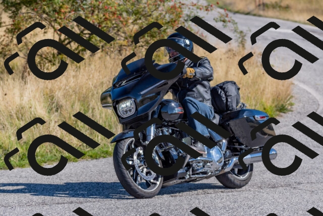 202509211030-DSC_4186_c4_