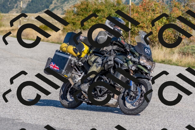 202509211035-DSC_4195_c4_