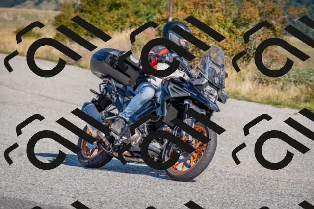 202509211038-DSC_4204_c4_