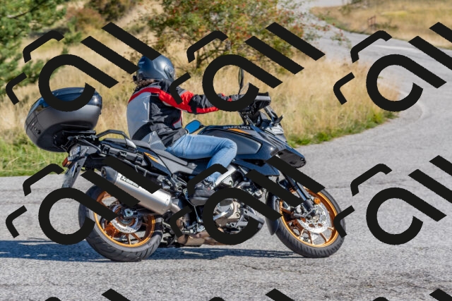 202509211038-DSC_4206_c4_