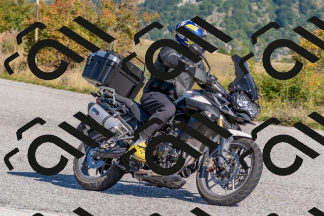 202509211039-DSC_4208_c4_