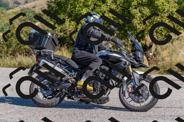 202509211039-DSC_4209_c4_