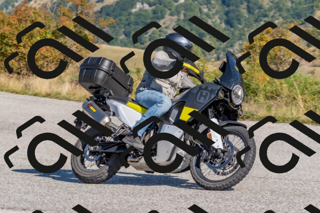 202509211040-DSC_4217_c4_