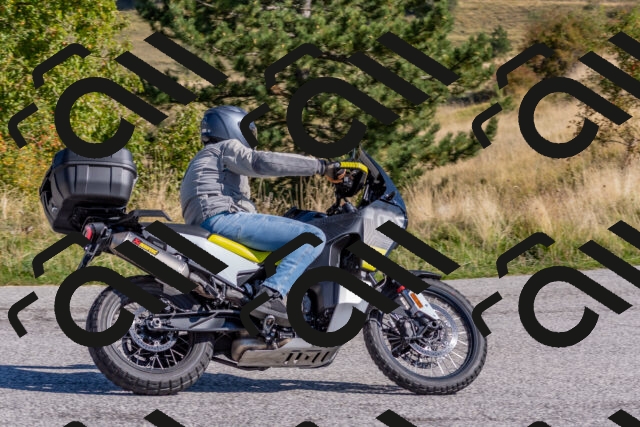 202509211040-DSC_4219_c4_