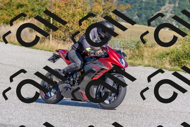 202509211043-DSC_4228_c4_