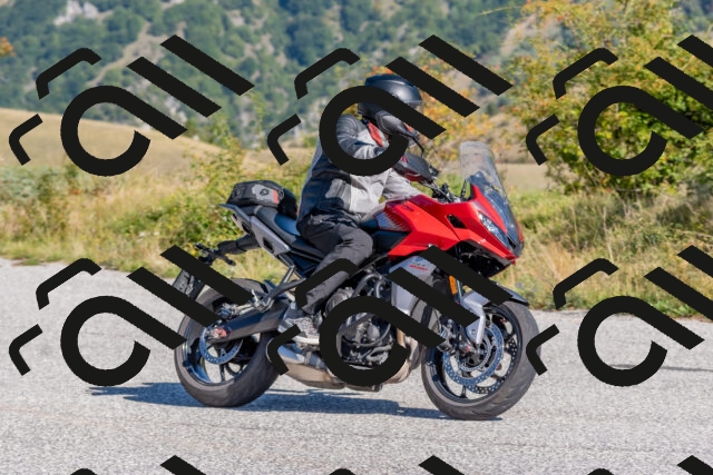 202509211044-DSC_4235_c4_