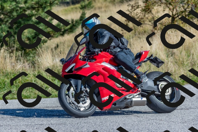 202509211046-DSC_4241_c4_