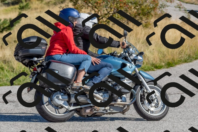 202509211058-DSC_4284_c4_