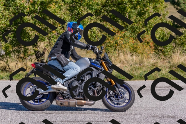 202509211059-DSC_4297_c4_