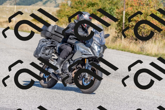 202509211108-DSC_4331_c4_