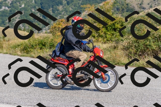 202509211110-DSC_4345_c4_