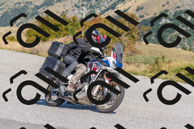 202509211113-DSC_4353_c4_