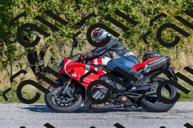 202509211113-DSC_4364_c4_