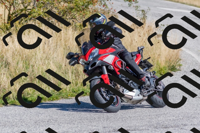 202509211130-DSC_4503_c4_