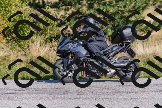 202509211130-DSC_4506_c4_