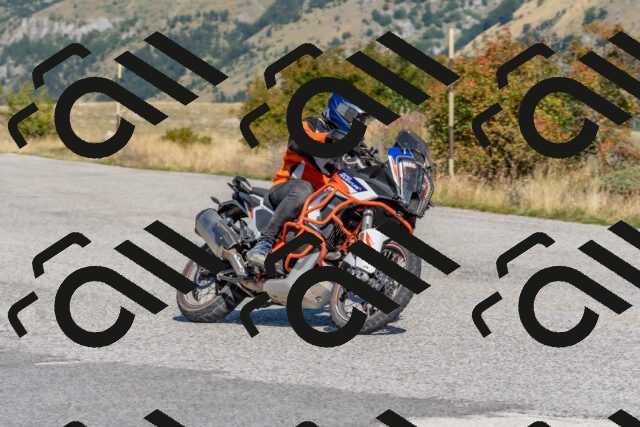 202509211131-DSC_4517_c4_