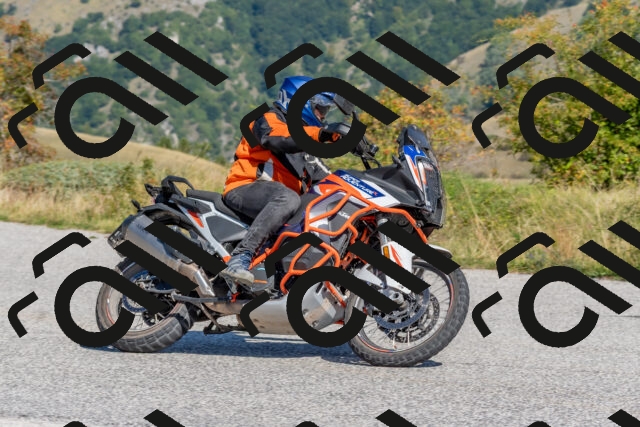 202509211131-DSC_4518_c4_