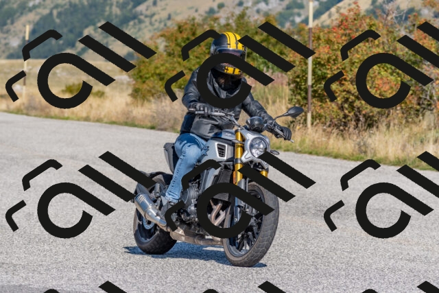 202509211131-DSC_4520_c4_