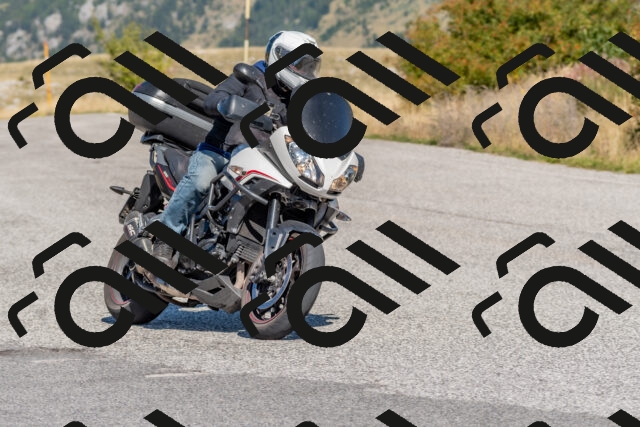 202509211131-DSC_4524_c4_