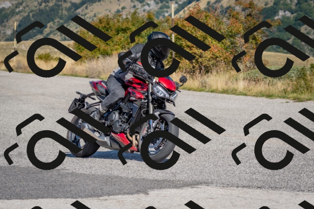 202509211131-DSC_4527_c4_