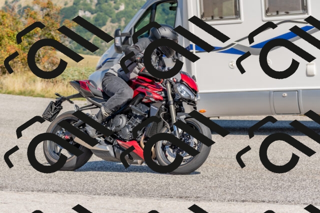 202509211131-DSC_4528_c4_