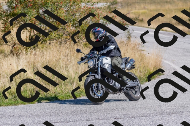 202509211132-DSC_4539_c4_