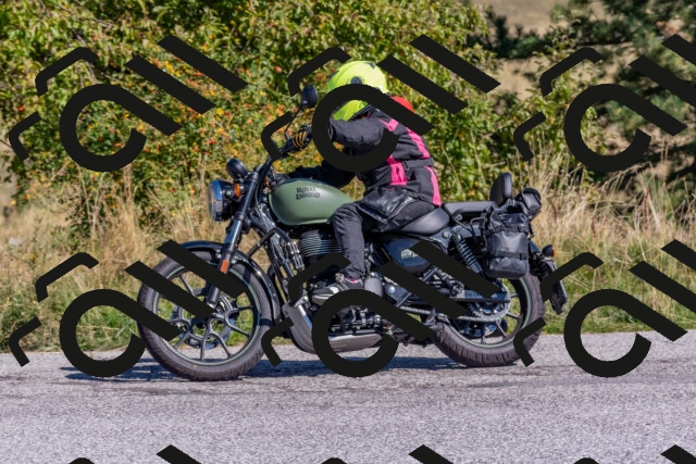 202509211133-DSC_4545_c4_